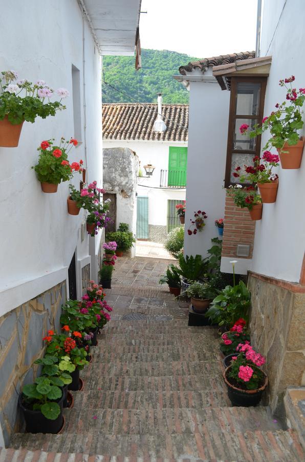 Casa La Puente Jubrique Exterior foto